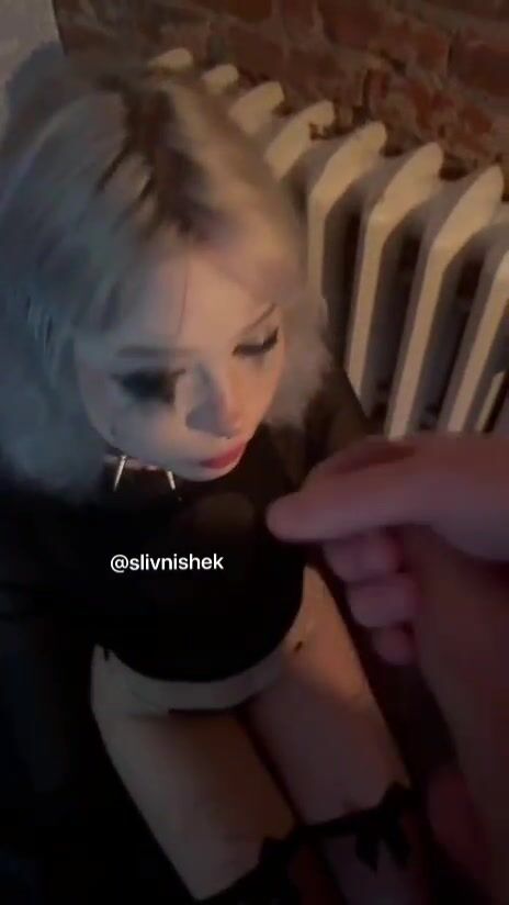 p4r4d0xy / paradoxy blow job