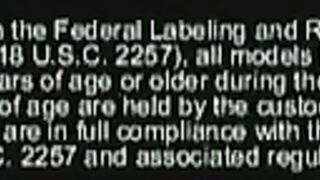 Brandi Belle - Skillful handjob