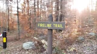 Honeybuns Gets Fucked In The Woods