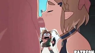 Link’s adventure