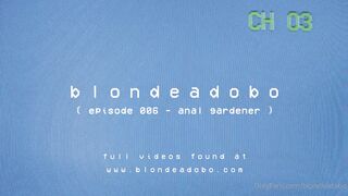 blondeadobo
