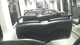Crazy girl - Public Masturbation in train