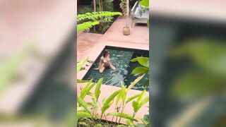 Rachel Cook Poolside Bikini