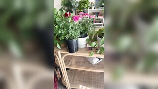 riverspink tiktok flash(@bushyriver)